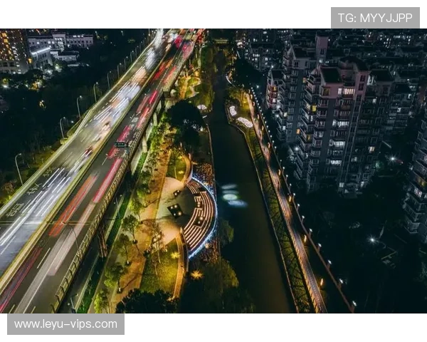 _夜光跑：在灯火辉煌中畅享运动乐趣_，夜光跑道是什么意思
