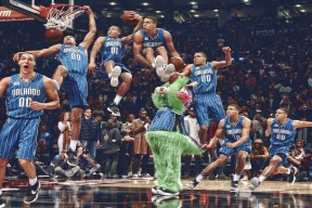 全国青少年马术比赛在南京顺利落幕，全国青少年马术比赛 冠军