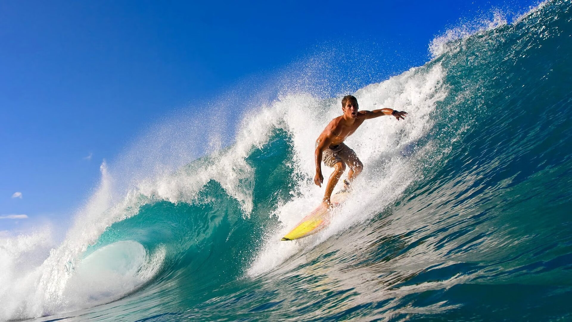 世界杯关键战：瞬间决定晋级命运的争夺，世界杯关机